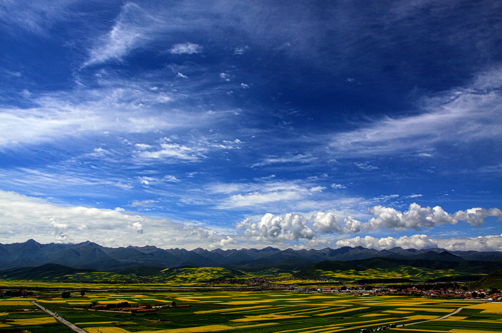 青海·门源 摄影 Leung.Kok