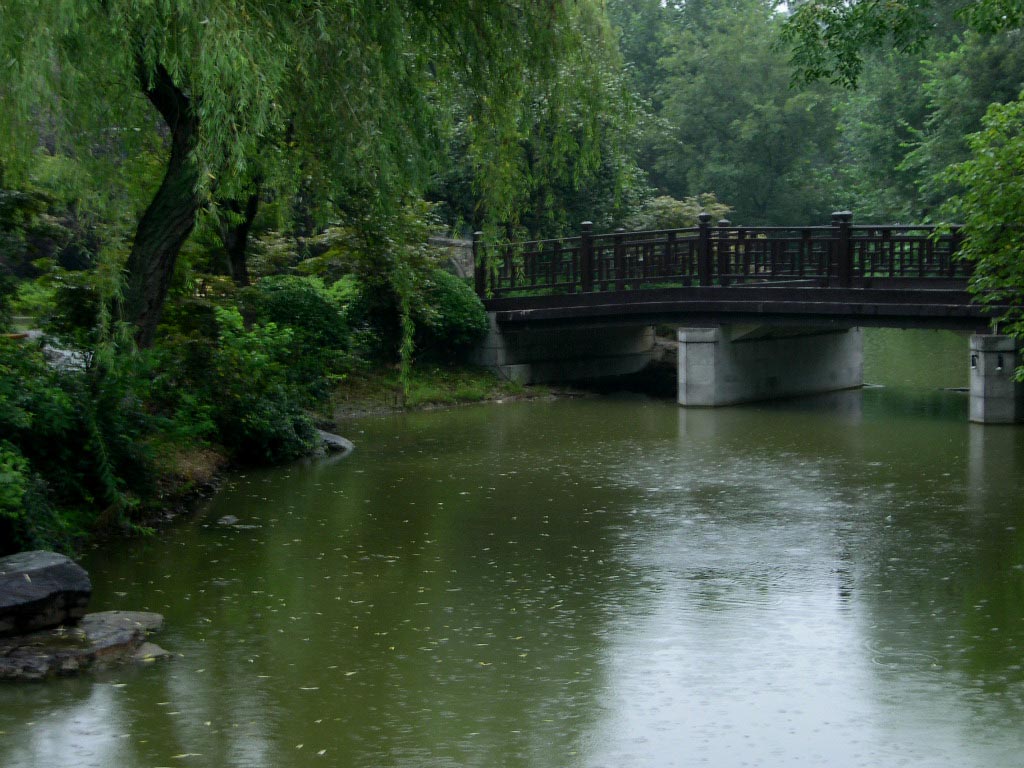 细雨蒙蒙 摄影 老尼康