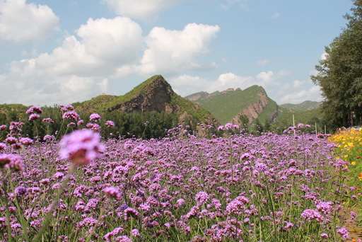 延庆一景 摄影 智仙