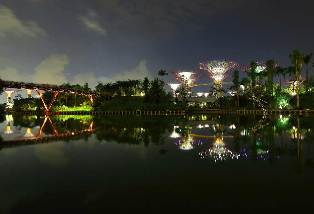 新加坡超级树夜景 摄影 Screen