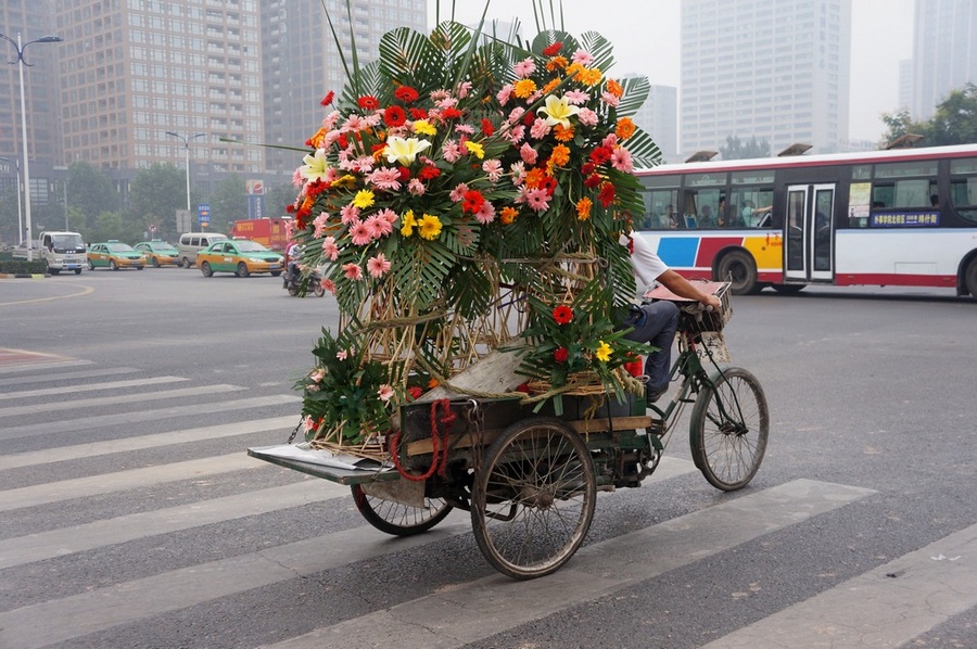 花车 摄影 草原彩云飞