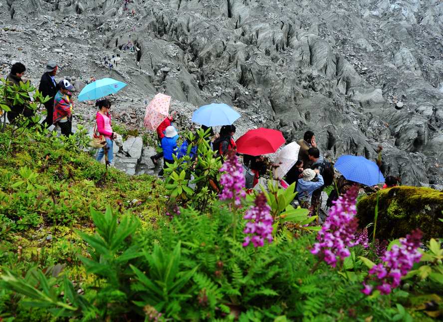 冰川、洋傘、鲜花 摄影 篌歌