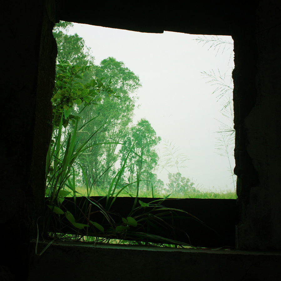 窗外 摄影 人土土