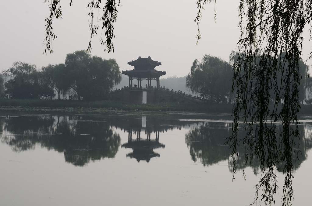 颐和园 摄影 鲤鱼出水