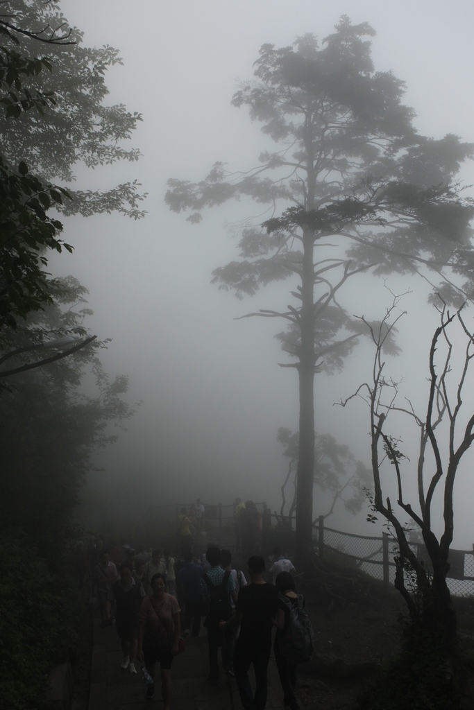 山雾 摄影 静静地走着