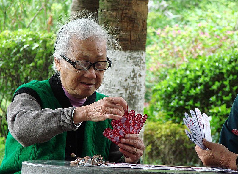 风中爽歪歪 摄影 金玉满堂