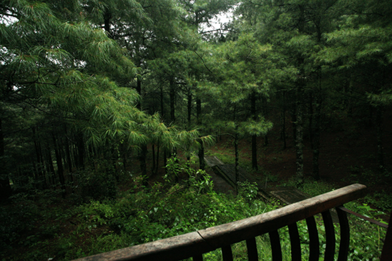 避雨亭 摄影 喜洲巴巴