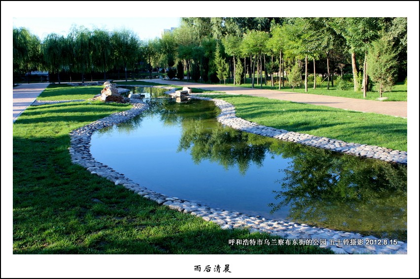 雨后清晨 摄影 五十铃