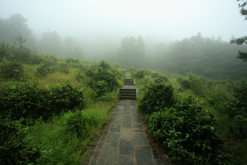 登山路 摄影 喜洲巴巴