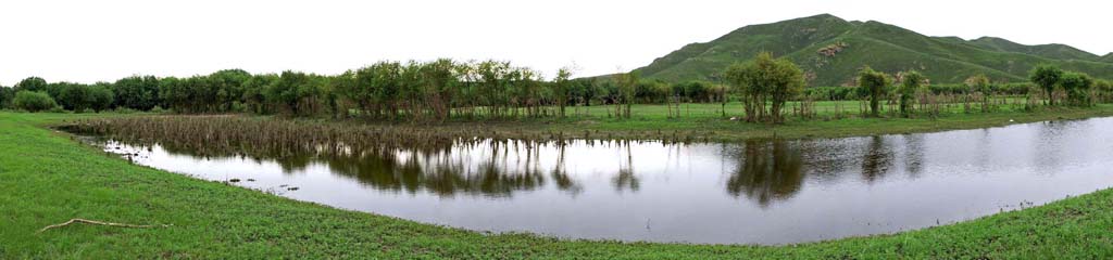 根河湿地 摄影 风声雁影