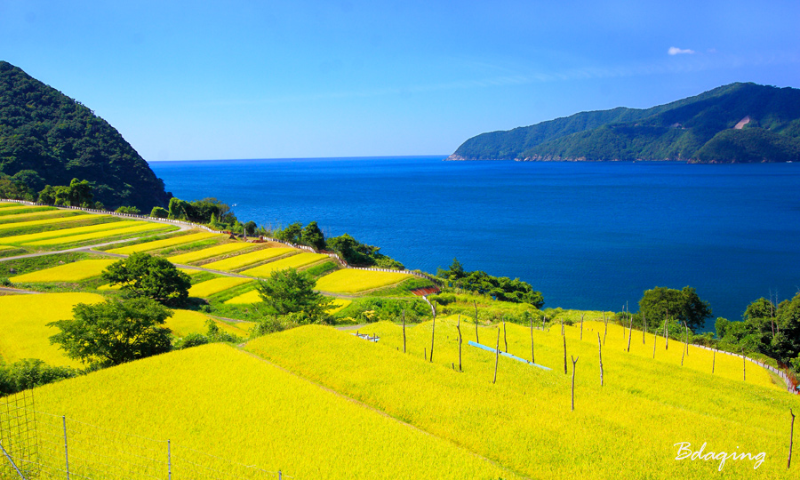 海边小景<2> 摄影 Bdaqing