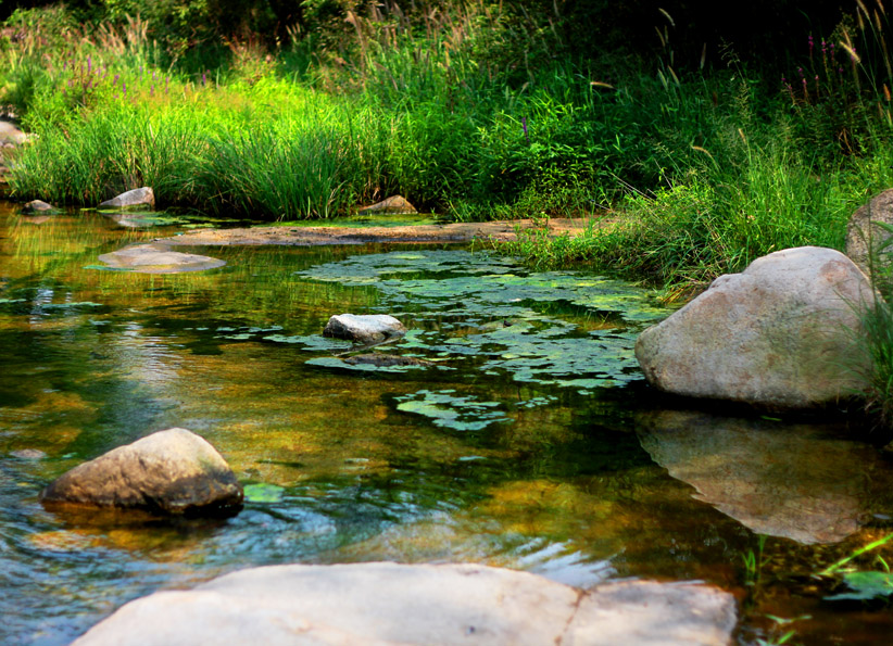 清新小水景1 摄影 行走风景