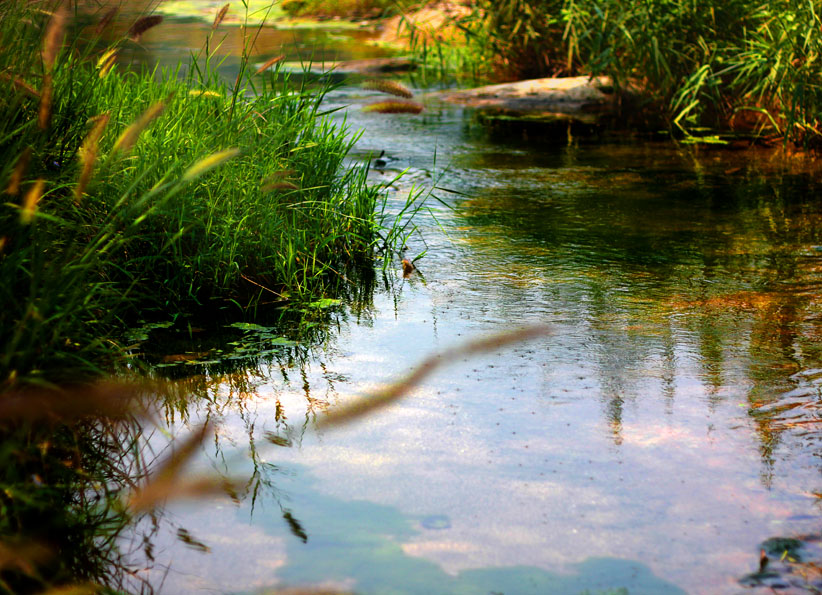 清新小水景2 摄影 行走风景