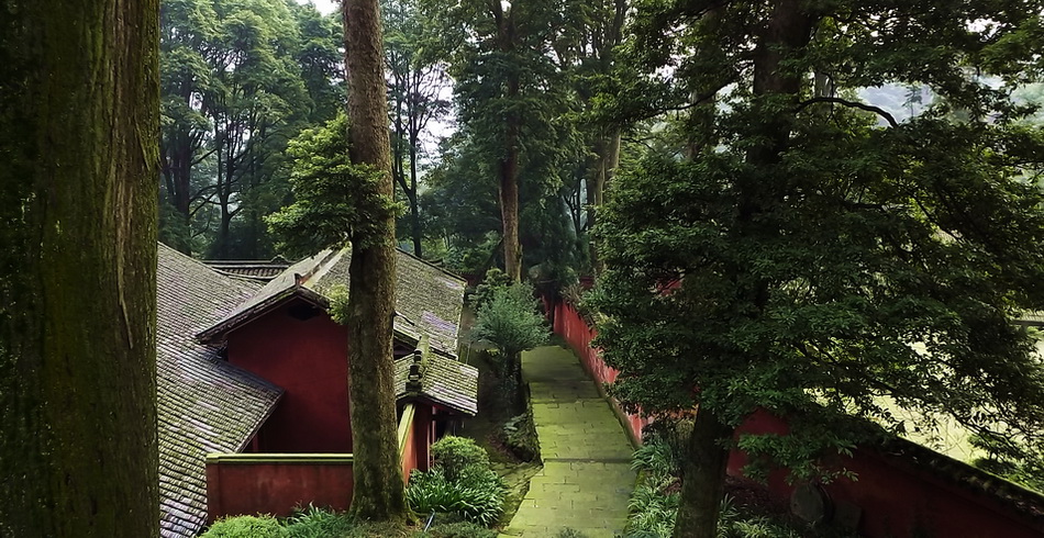 峨眉山随拍(47) 摄影 爱兰居士