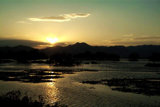 滇池湿地 摄影 紫莱卡