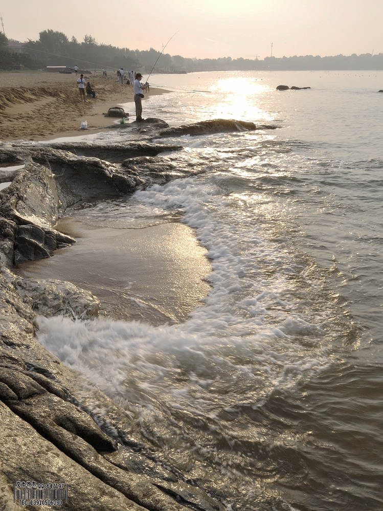 金色的海浪 摄影 一片空白