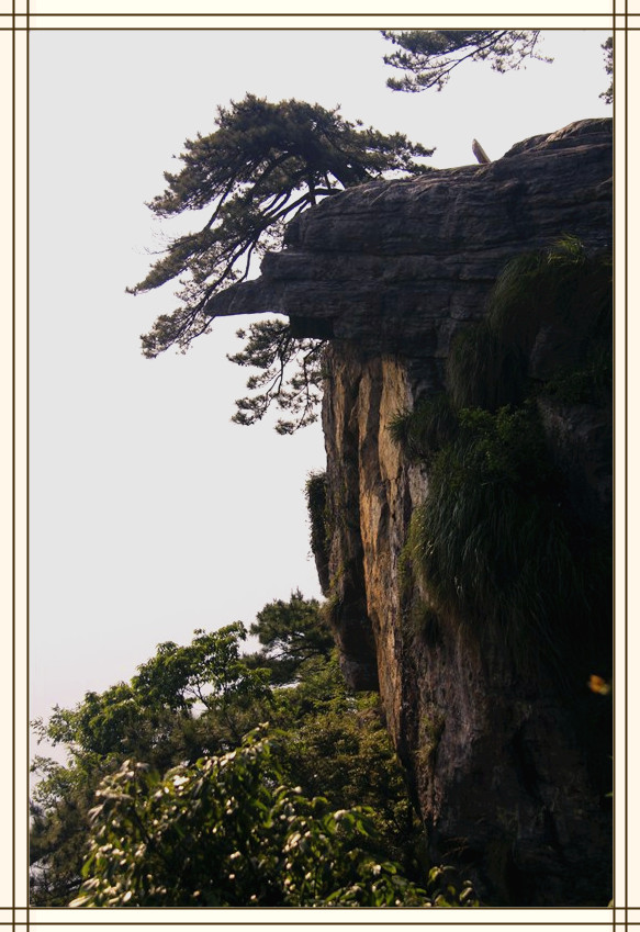 庐山龙头岩 摄影 游天地