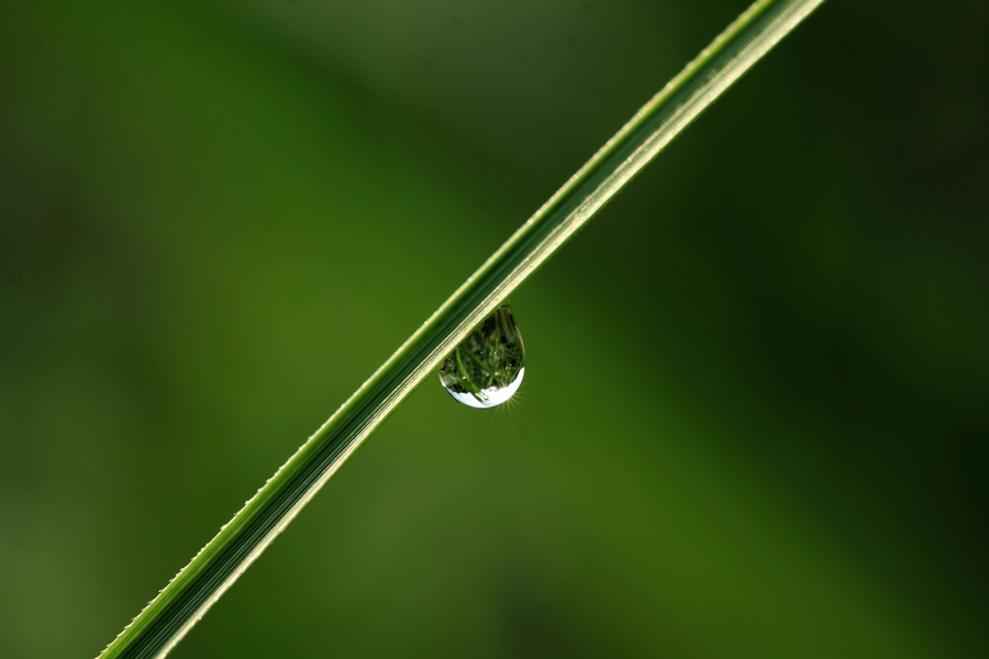 水珠 摄影 老过