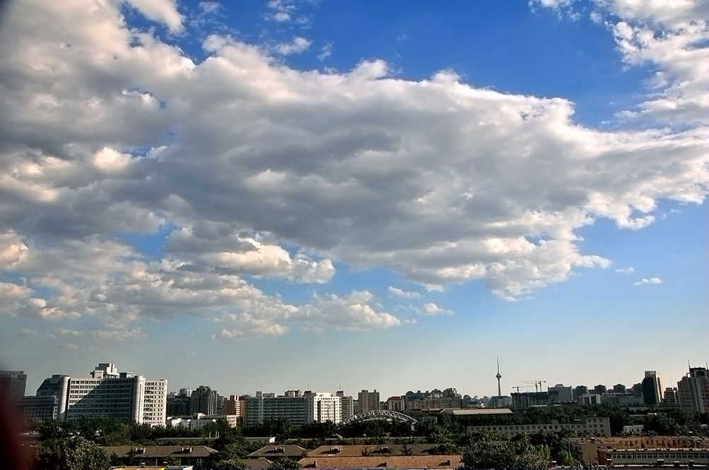 抬头望天空 摄影 冬日恋哥