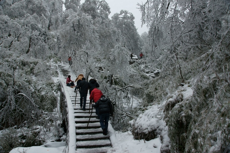 雪山冬韵 摄影 柯美