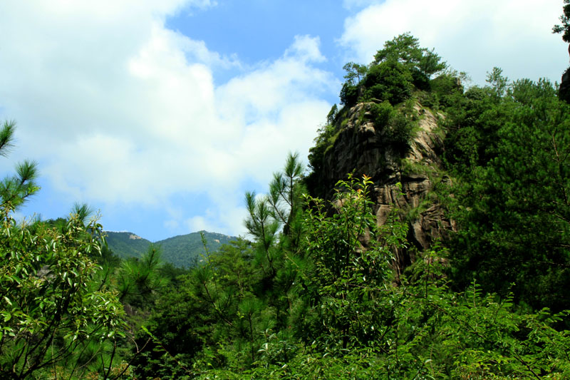 龙穿峡 摄影 滴水冠英花