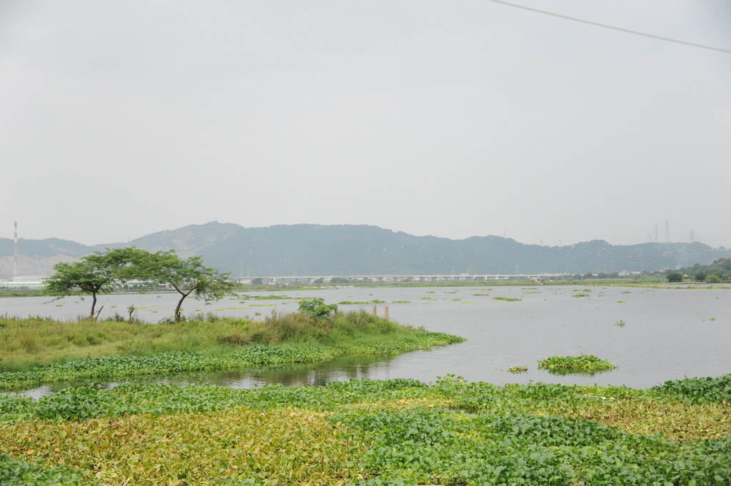 梅林湖畔 摄影 阳光花园