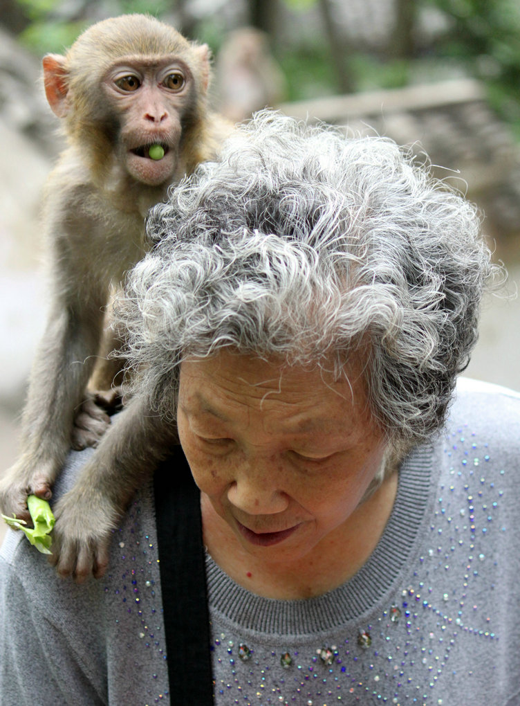 老人与小猴 摄影 脚下有路