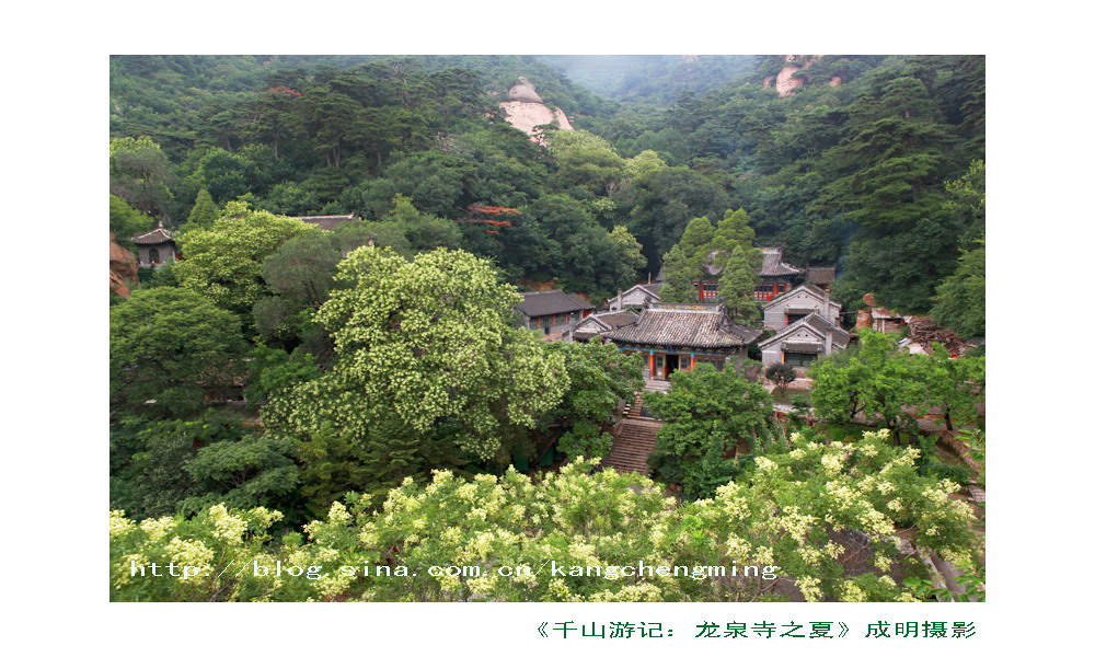 千山游记：千年古刹龙泉寺 摄影 askcm