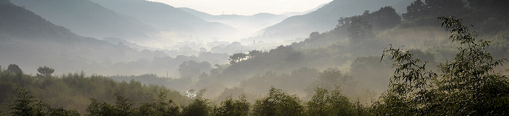 秋晨山野 摄影 海阳鱼飞