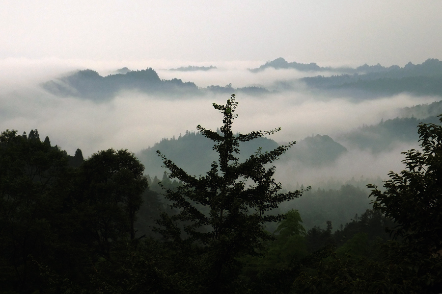 碧峰峡晨景（1） 摄影 j-xiao