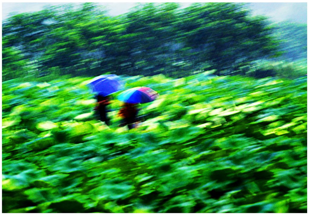 雨中 摄影 快门时间