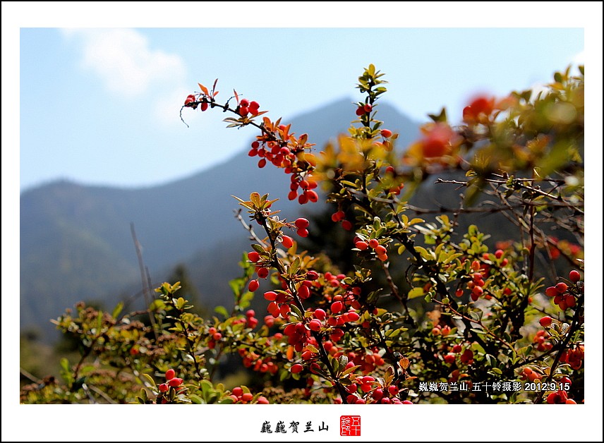 巍巍贺兰山 摄影 五十铃