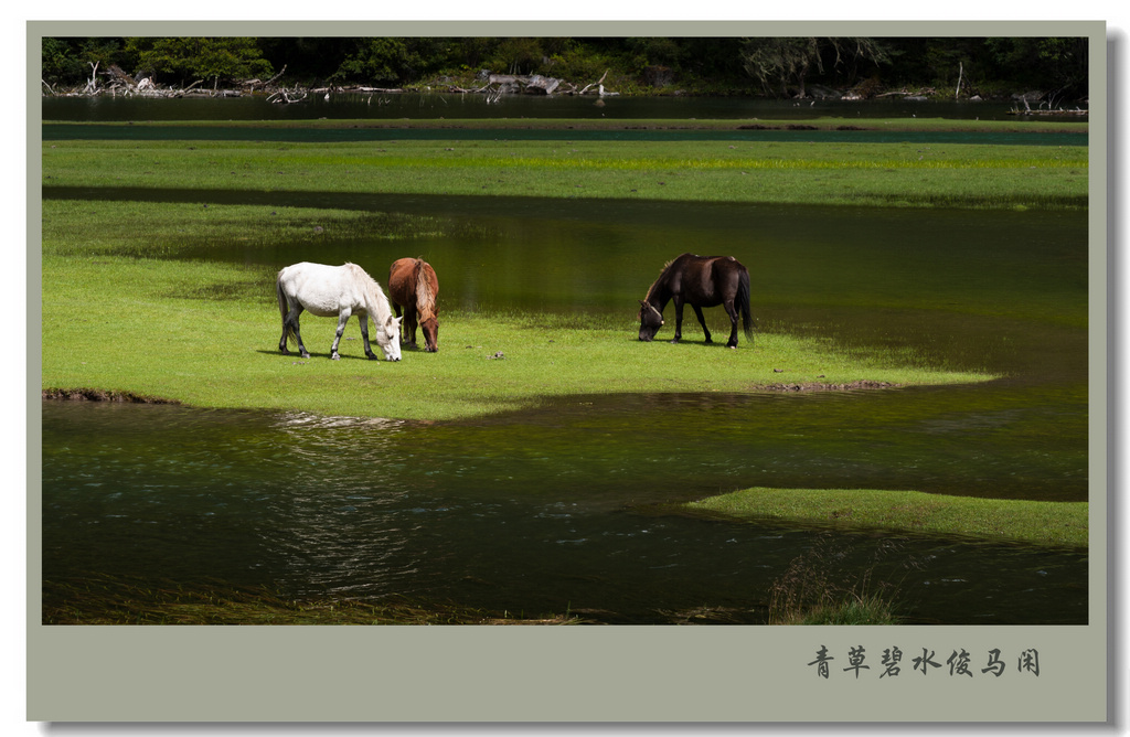 月亮湖 摄影 葛达山