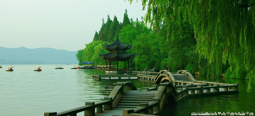 夏日西湖 摄影 沙弛