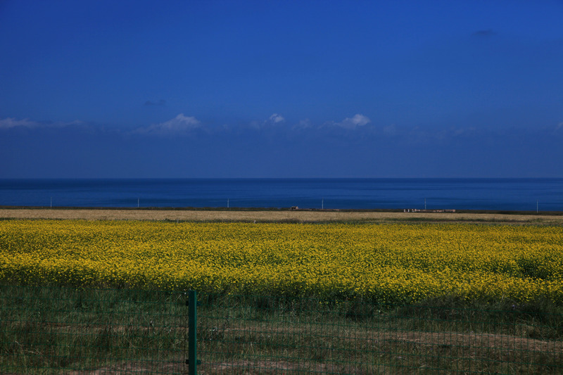 青海、西藏行 摄影 ywp_001