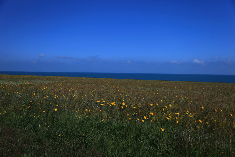 青海、西藏行 摄影 ywp_001