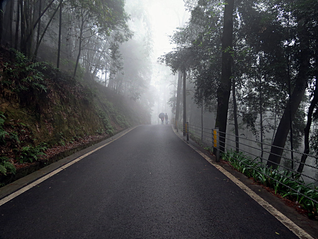 谱云烟雨一雨雾中的缙云山 摄影 严老头