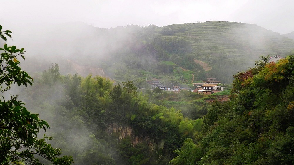 云雾山中 摄影 杰克