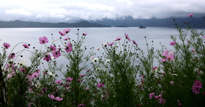 恬静泸沽湖 摄影 侠女西边雨