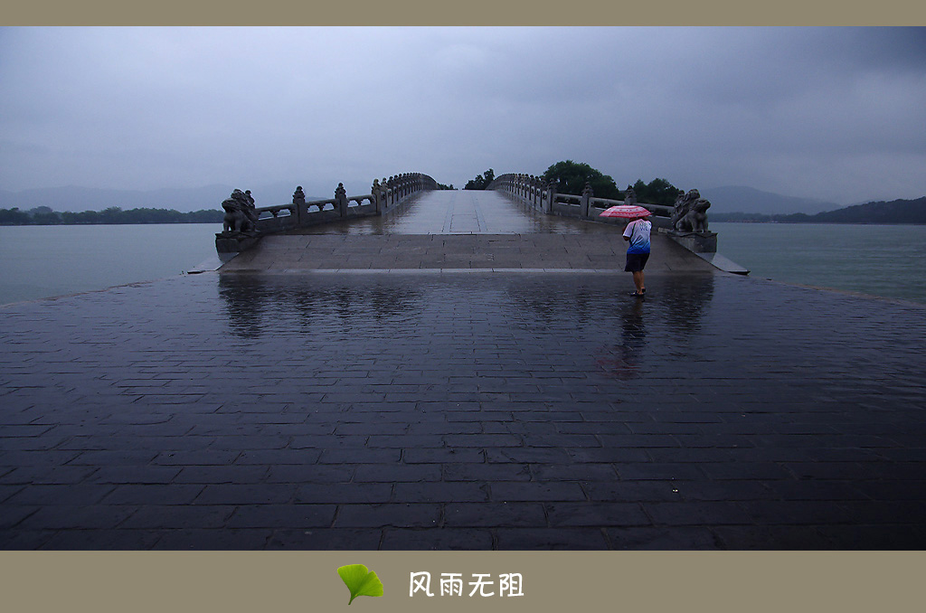 风雨无阻！！！ 摄影 保健茶