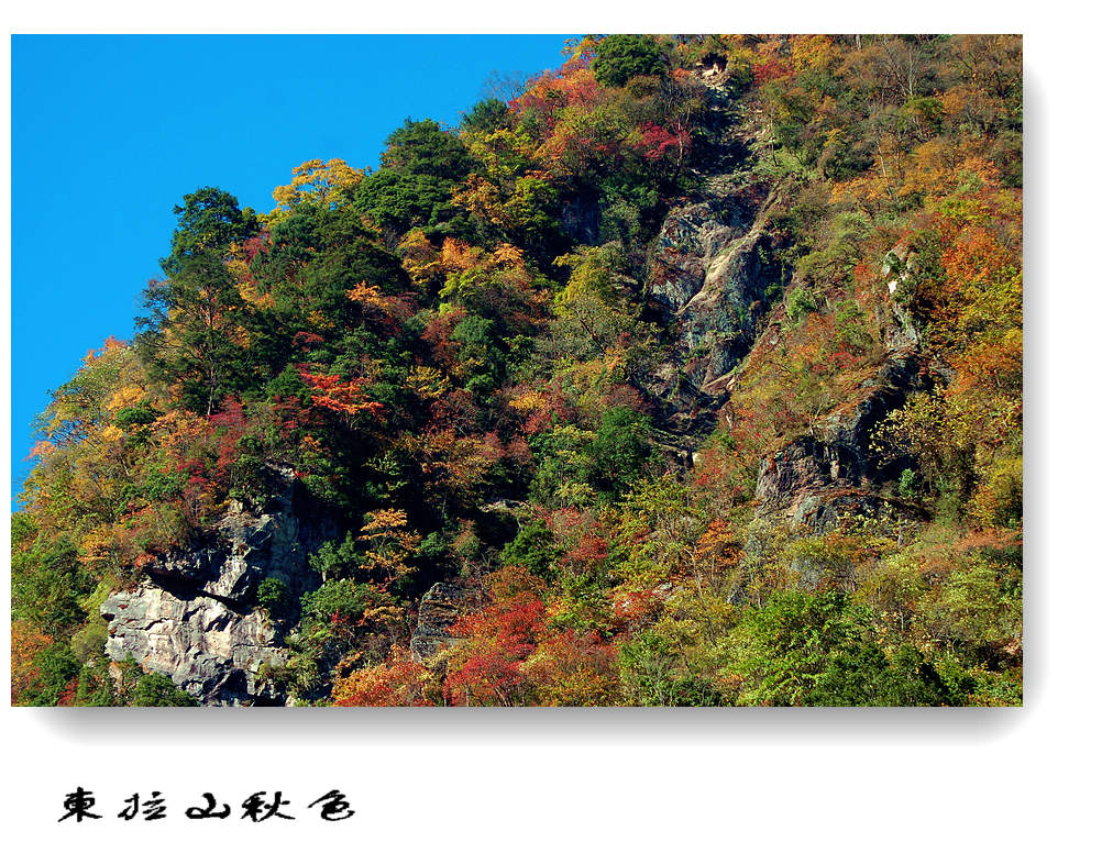 东拉山（6） 摄影 竹林後山人