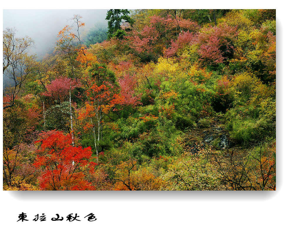 东拉山（7） 摄影 竹林後山人