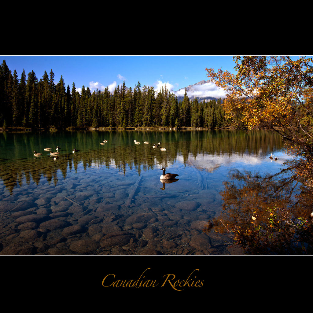 加拿大落基山（9） 摄影 _yunfeifei_