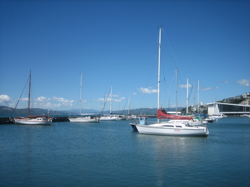 Seashore of Wellington 摄影 江南若水