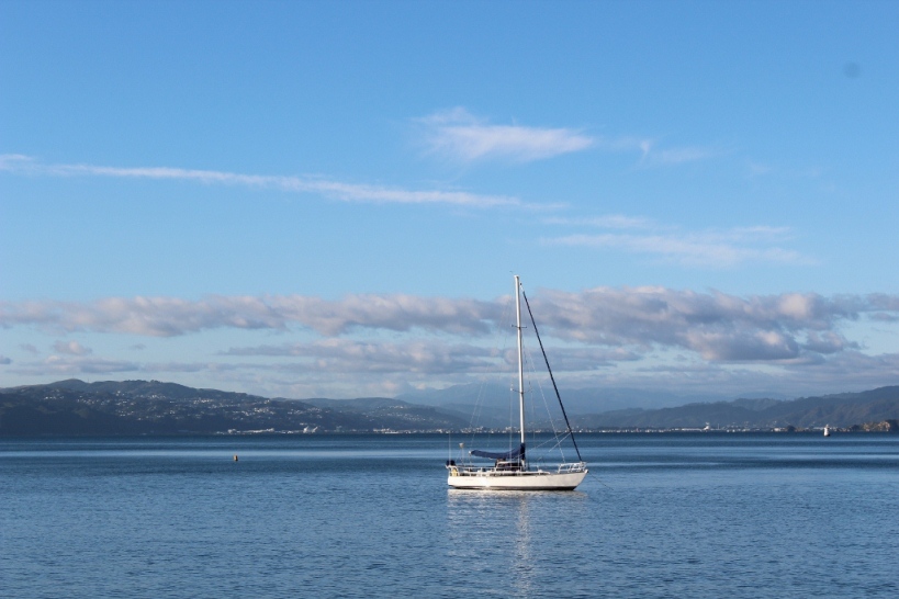 Seashore of Wellington 摄影 江南若水