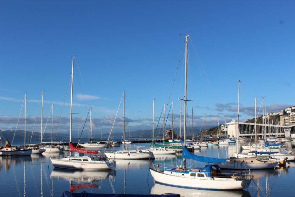 Seashore of Wellington 摄影 江南若水