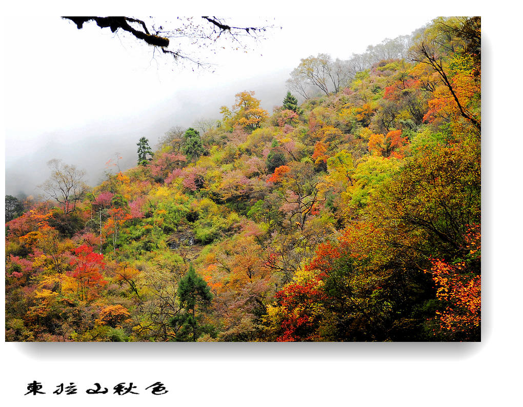 东拉山（9) 摄影 竹林後山人