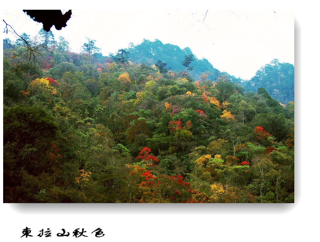 东拉山（11） 摄影 竹林後山人