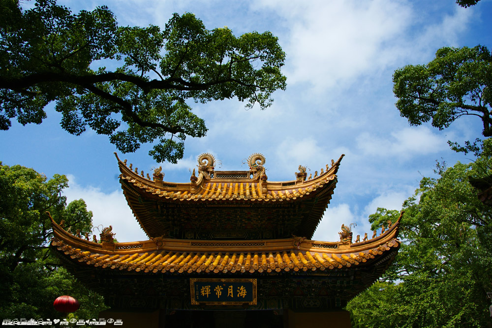 普济寺 摄影 沙弛