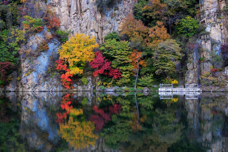 色之舞动 摄影 静静地走着